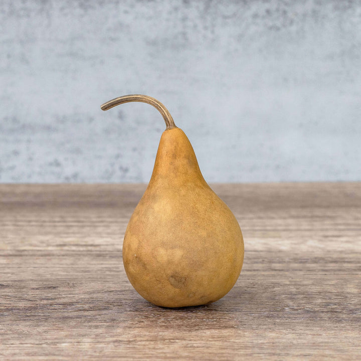 2" Martin Gourds at Meadowbrooke Gourds. 