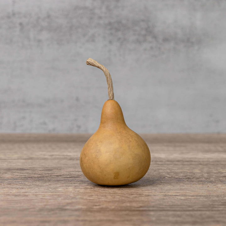 2" Hard Shell Martin Gourds at Meadowbrooke Gourds.