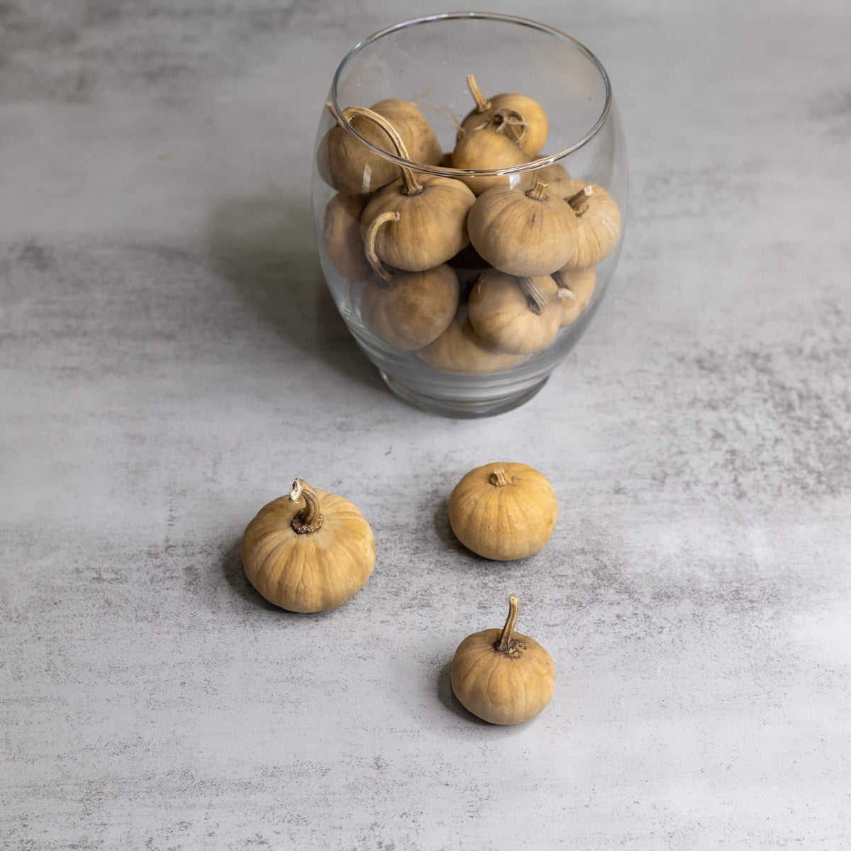 Dried mini pumpkin gourds in a count of 10, styled in a glass flute at Meadowbrooke Gourds. 