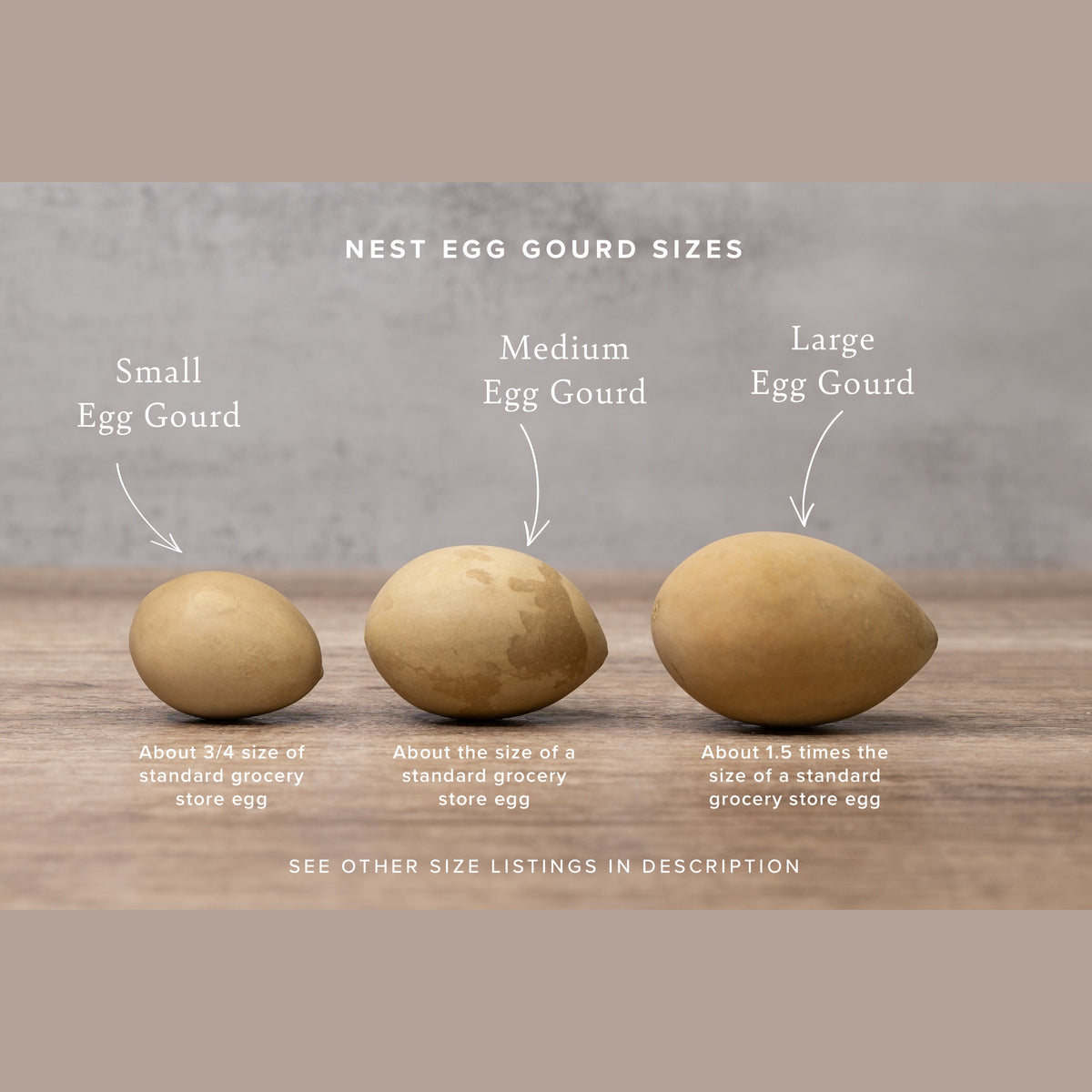 Hard dried gourd egg size chart at Meadowbrooke Gourds.