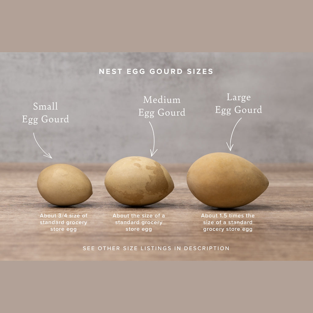 Dried Large Gourd Eggs