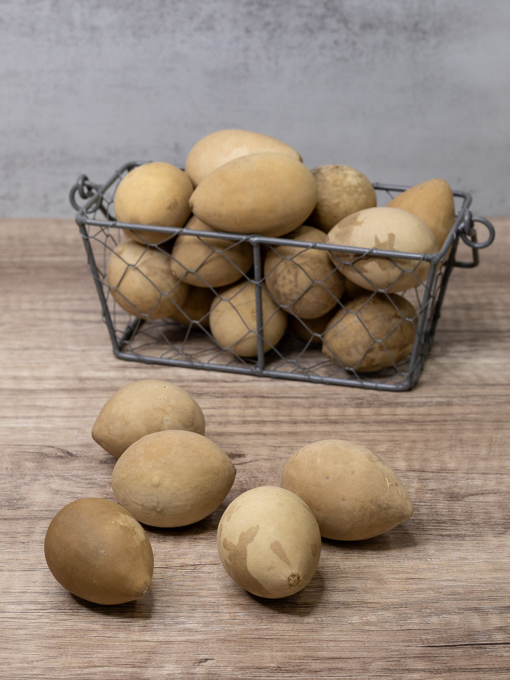 Raw unfinished gourd eggs