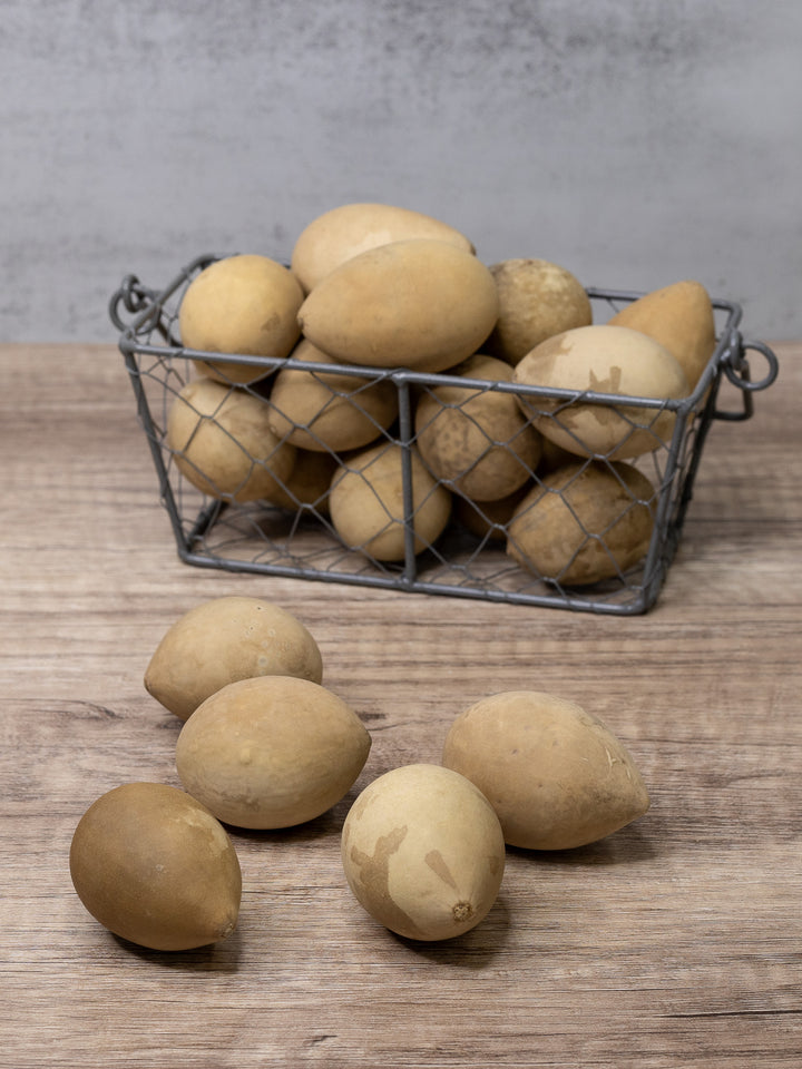 Raw unfinished gourd eggs