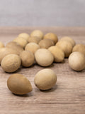 Raw unfinished gourd eggs at Meadowbrooke Gourds