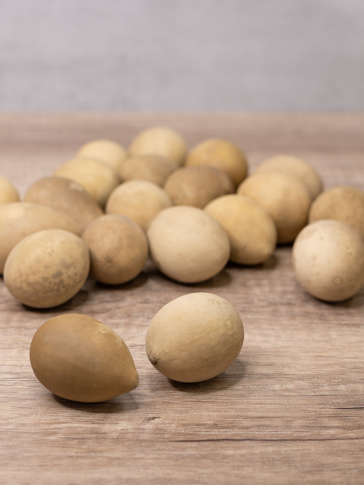 Raw unfinished gourd eggs at Meadowbrooke Gourds