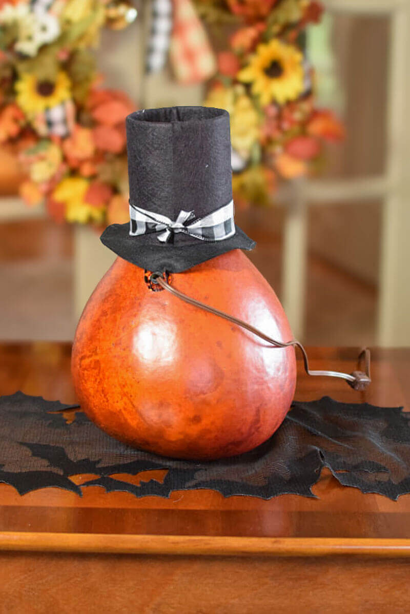 Arthur Gourd at Meadowbrooke Gourds  back view