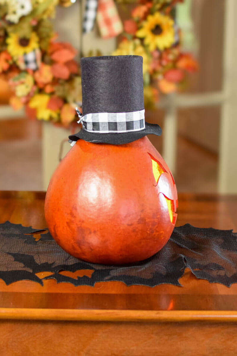 Arthur Gourd at Meadowbrooke Gourds side view