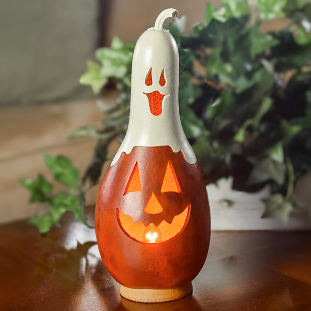 Casper Jack Small Tall Lit Gourd at Meadowbrooke Gourds. 