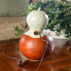 Casper Jack Medium Lit Gourd - Back View at Meadowbrooke Gourds. 