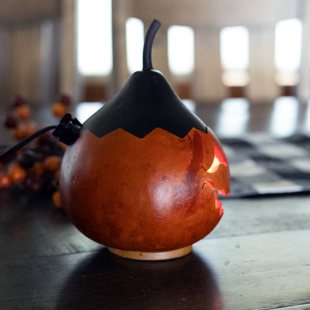 Colby Jack-O-Lantern Gourd Side View at Meadowbrooke Gourds. 
