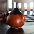 Colby Jack-O-Lantern Gourd Side View at Meadowbrooke Gourds. 