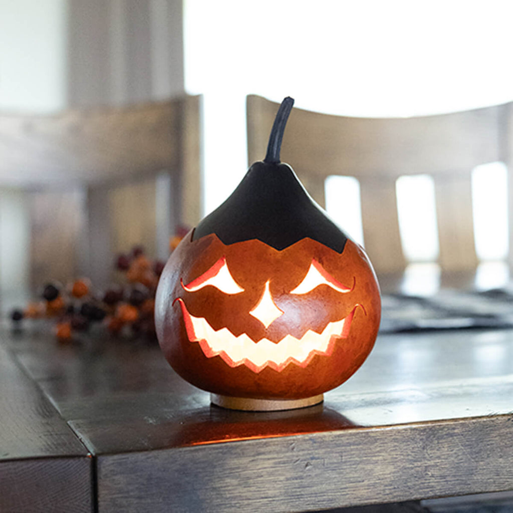 Colby Jack-O-Lantern Gourd at Meadowbrooke Gourds. 