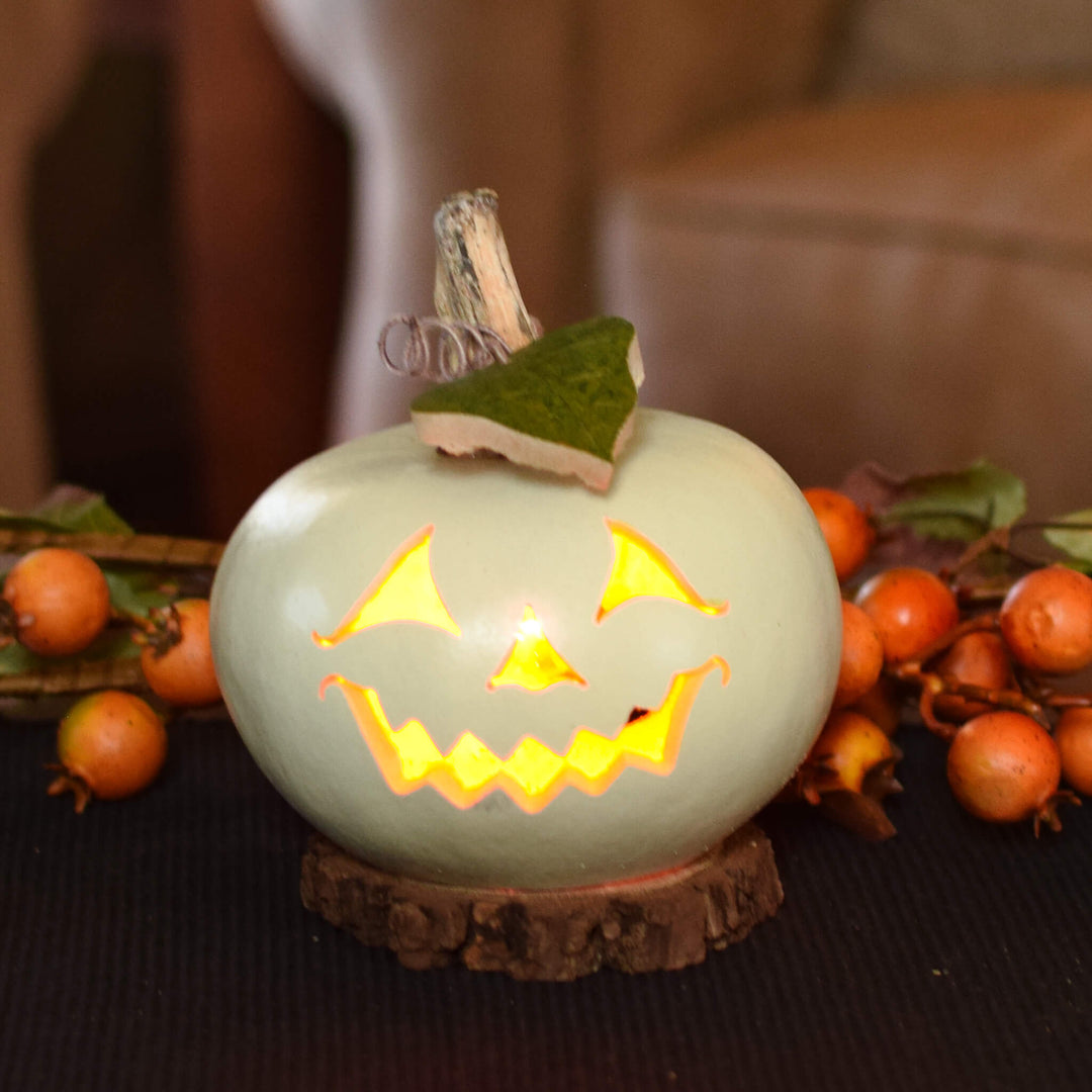 Cannon Jack-O-Lantern Gourd at Meadowbrooke Gourds. 