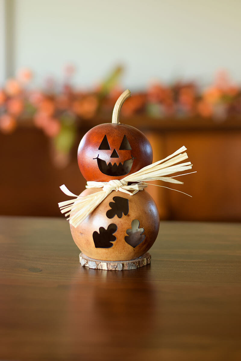 Tiny Dexter Jack-O-Lantern Gourd