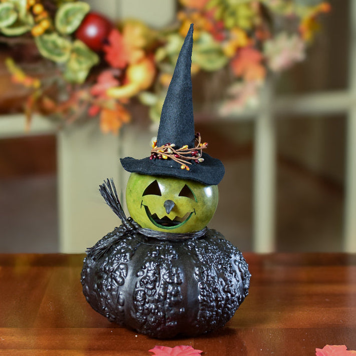 Fiona Small Witch Gourd at Meadowbrooke Gourds. 