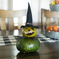 Fiona Green Witch Gourd at Meadowbrooke Gourds. 