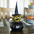 Fiona Medium Witch Gourd at Meadowbrooke Gourds. 