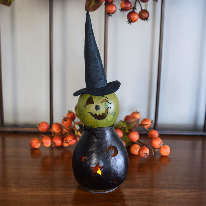 Fiona Miniature Witch Gourd at Meadowbrooke Gourds. 
