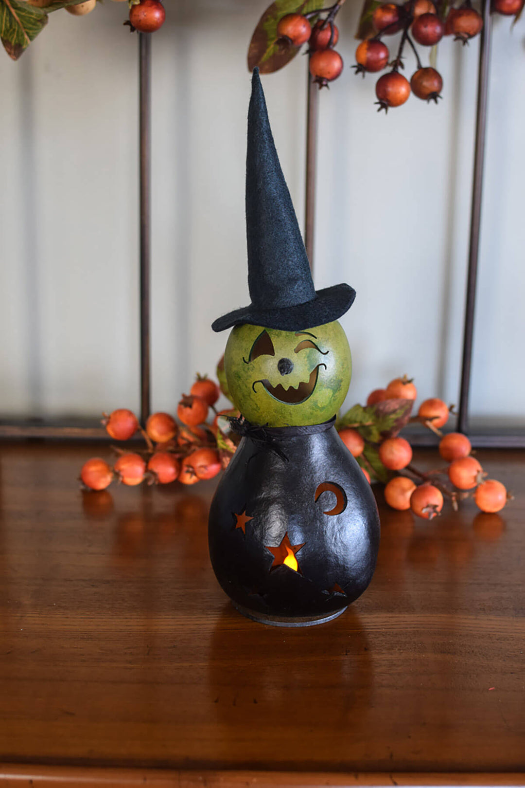 Black/Green Fiona the witch gourd at Meadowbrooke Gourds