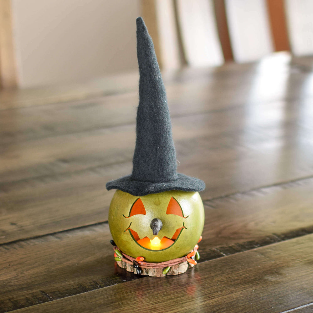 Fiona Miniature Witch Head Gourd at Meadowbrooke Gourds. 