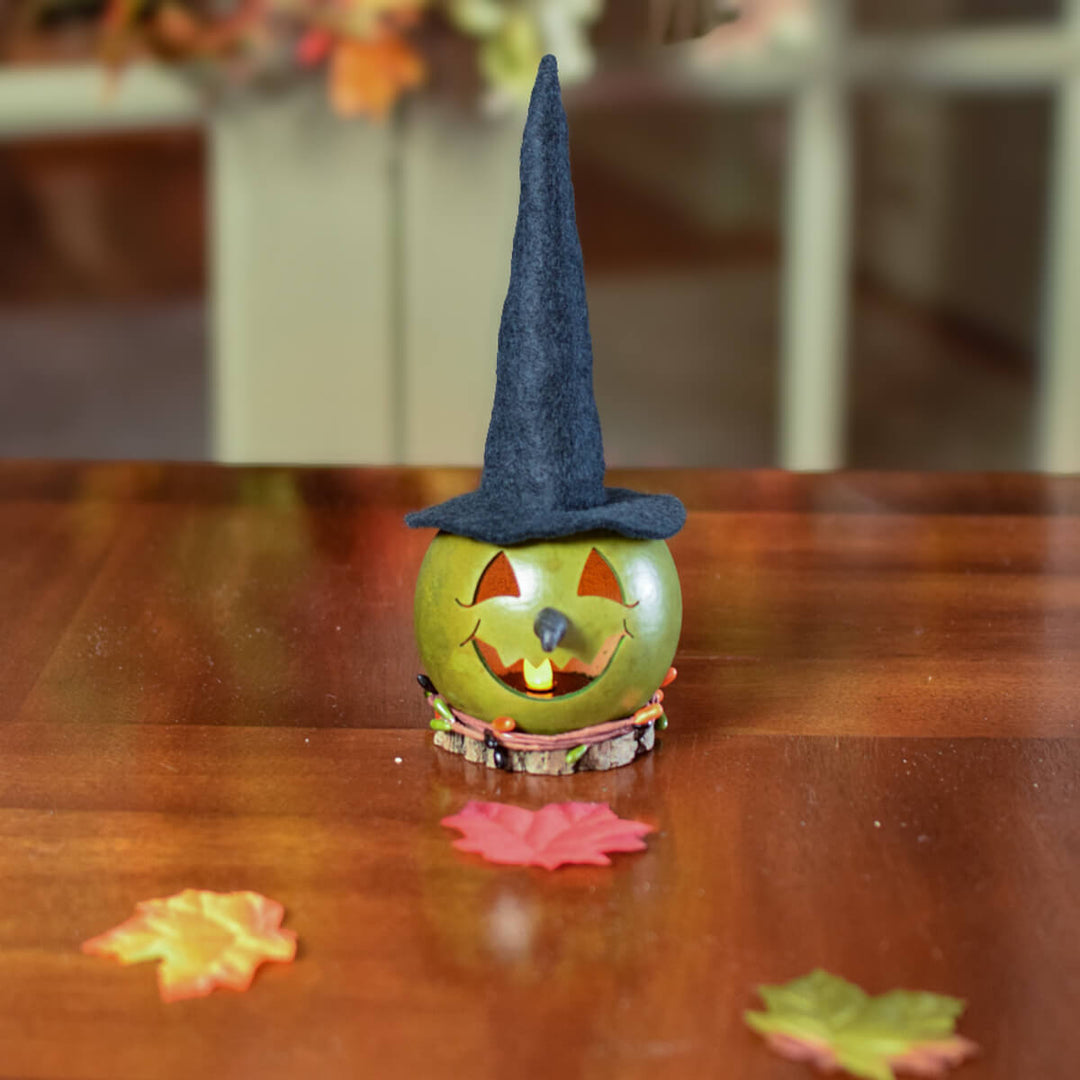 Fiona Miniature Witch Head Gourd at Meadowbrooke Gourds.