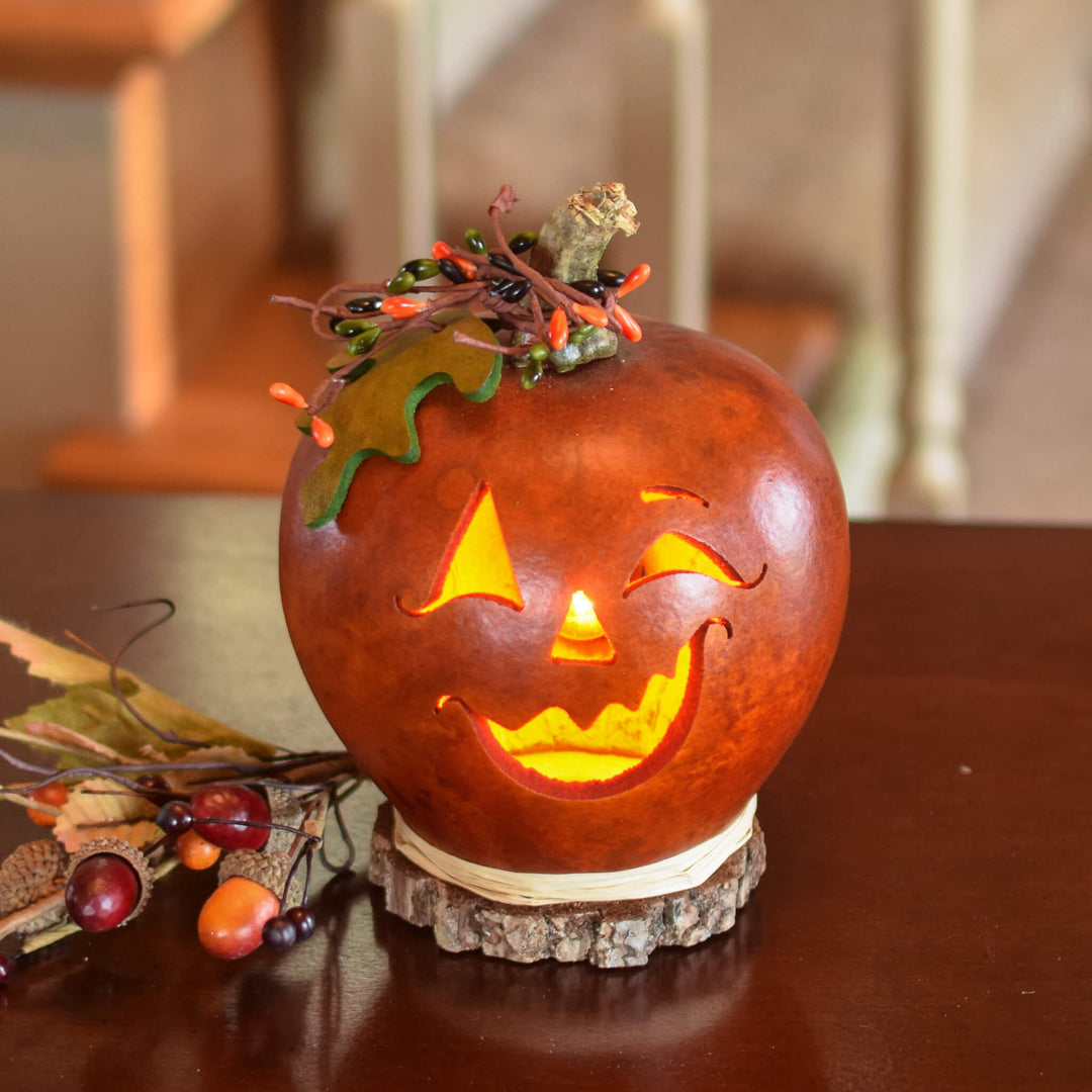 Fredrick Small Lit Jack-O-Lantern Gourd at Meadowbrooke Gourds. 