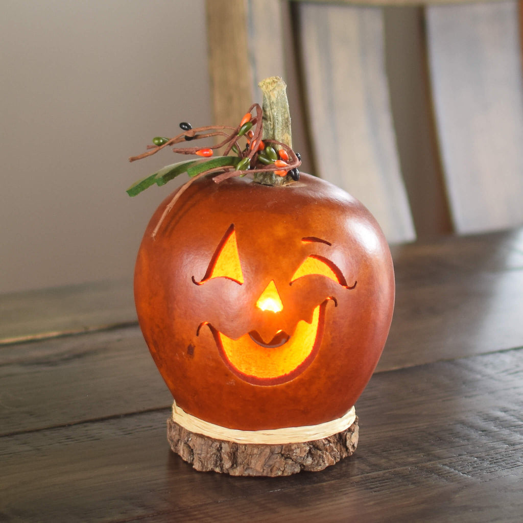 Fredrick Small Lit Jack-O-Lantern Gourd at Meadowbrooke Gourds. 