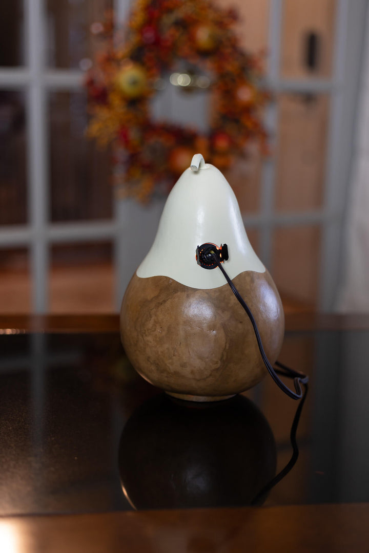Ghost Cottage Gourd Back View at Meadowbrooke Gourds. 