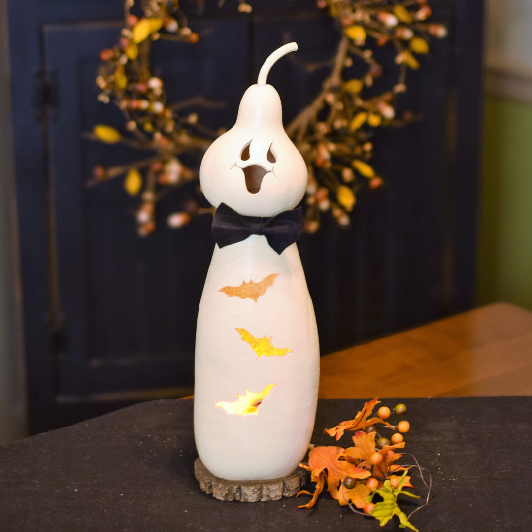 Jake ghost gourd  at Meadowbrooke Gourds