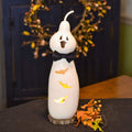 Jake ghost gourd  at Meadowbrooke Gourds