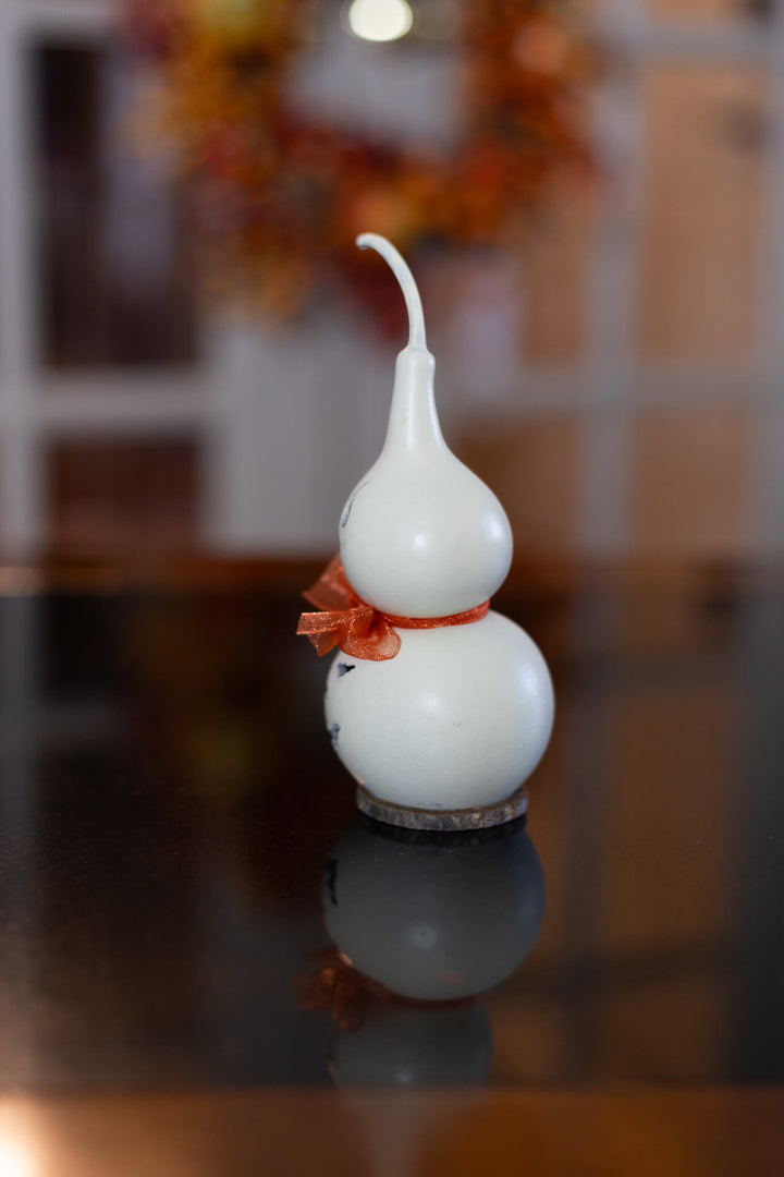 Tiny Jake Ghost Gourd Side View at Meadowbrooke Gourds. 