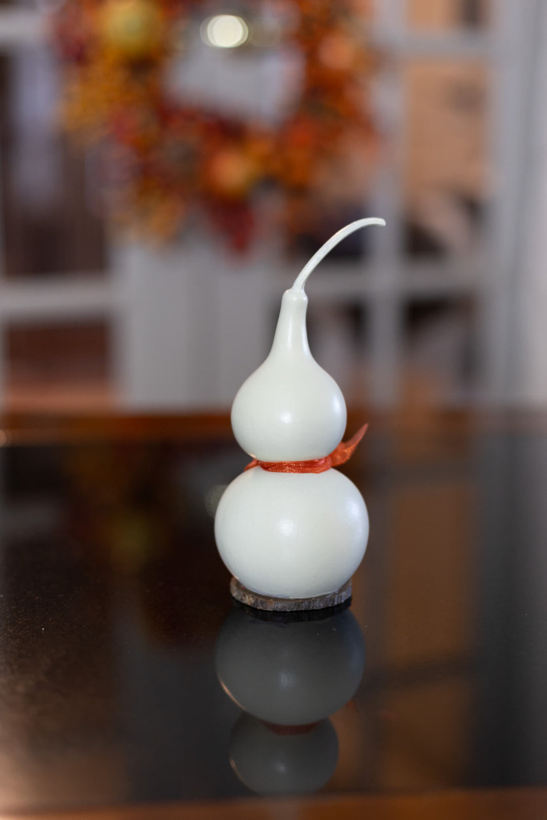Tiny Jake Ghost Gourd Back View at Meadowbrooke Gourds. 