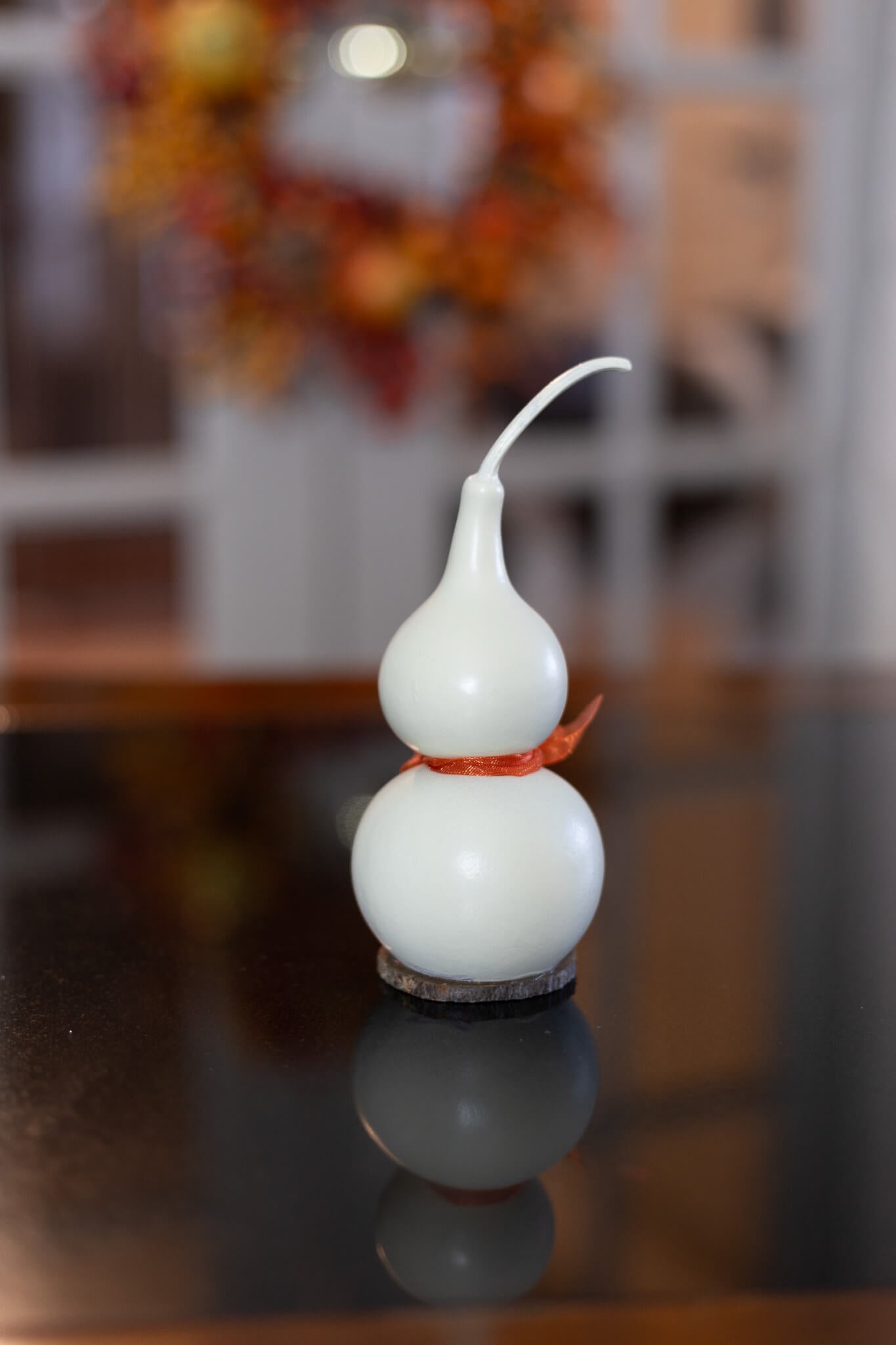 Tiny Jake Ghost Gourd Back View at Meadowbrooke Gourds. 