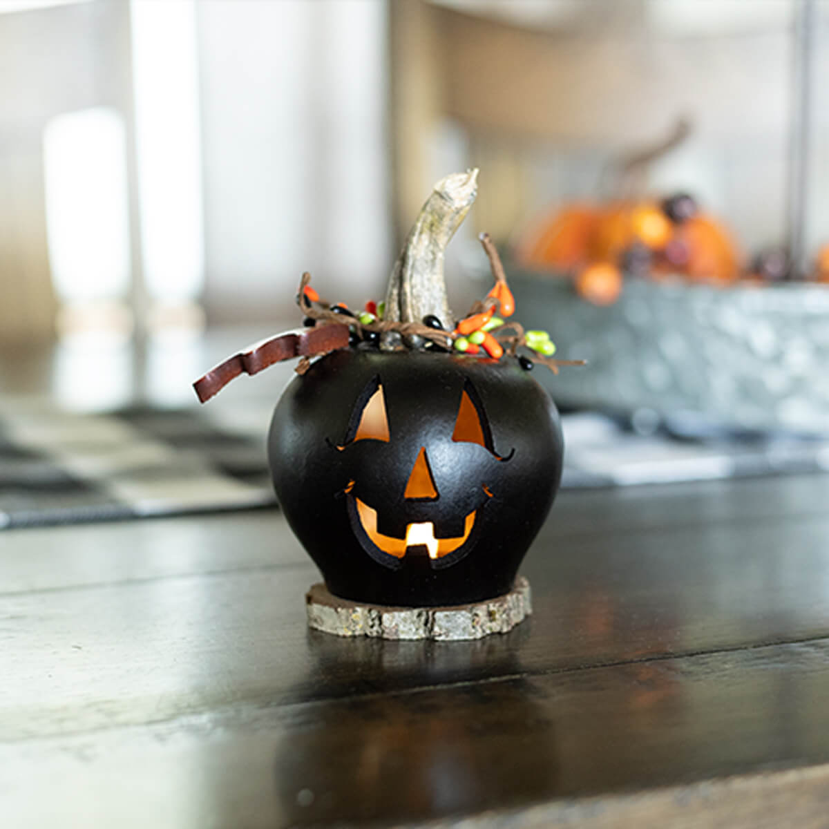 Lucas - MIniature Black Jack-O-Lantern