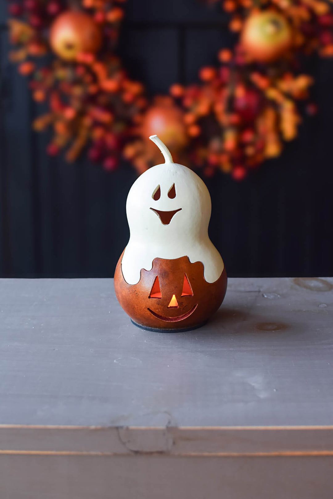 White/Orange Casper Jack gourd at Meadowbrooke Gourds