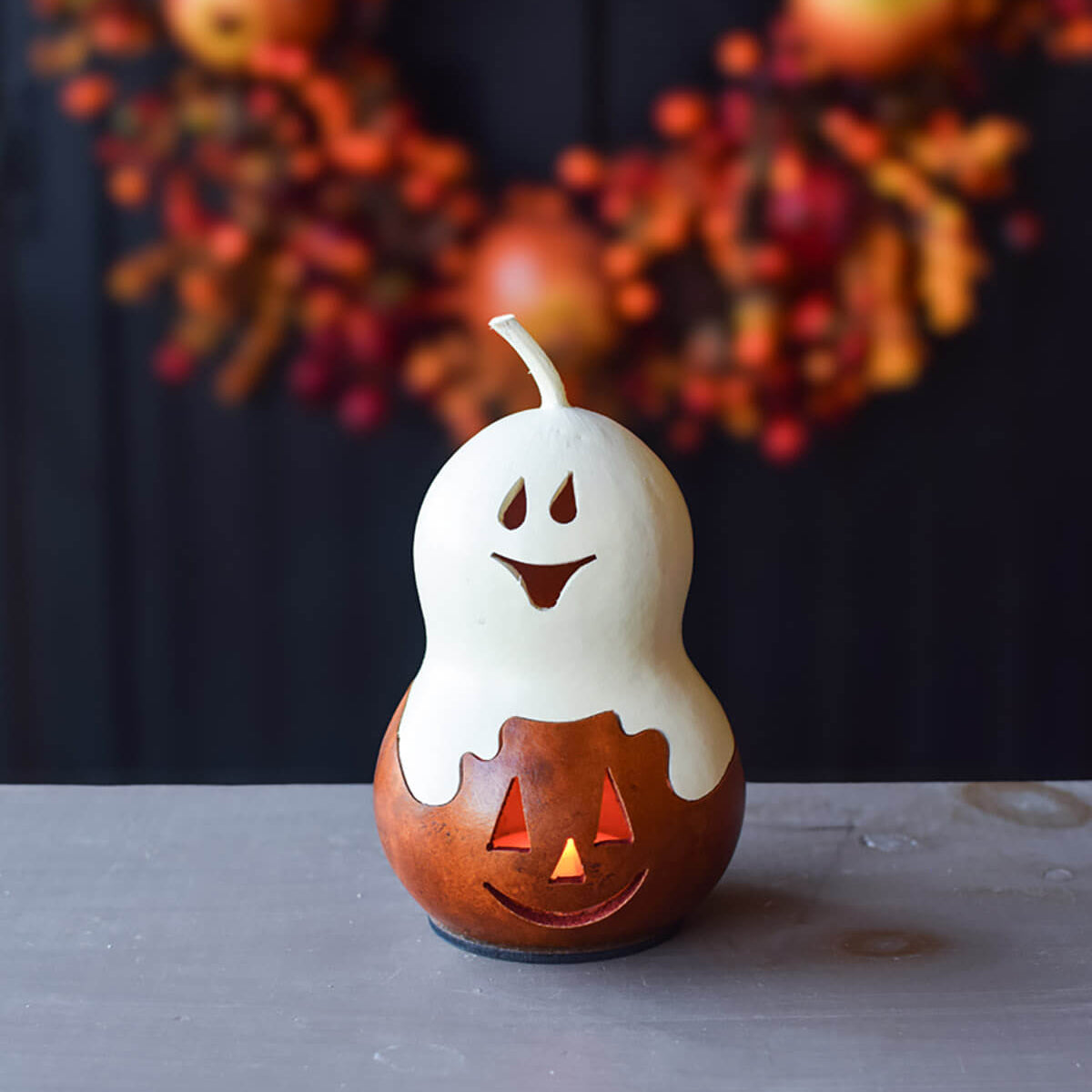 White/Orange Casper Jack gourd at Meadowbrooke Gourds