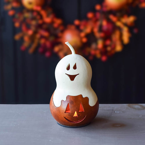 White/Orange Casper Jack gourd at Meadowbrooke Gourds