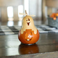 Casper Jack Natural and Orange Gourd at Meadowbrooke Gourds. 