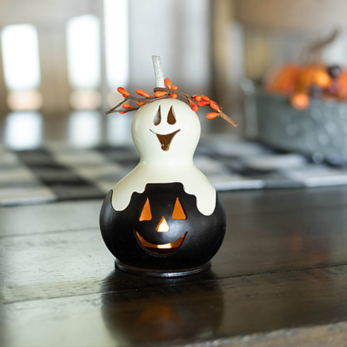 Casper Jack Miniature Black and White Gourd at Meadowbrooke Gourds. 