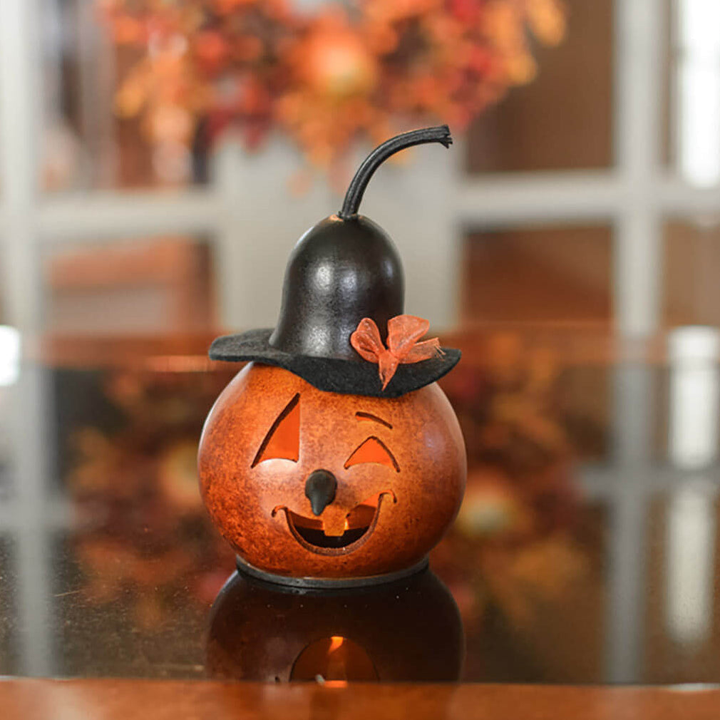 Klarissa the witch gourd at Meadowbrooke Gourds