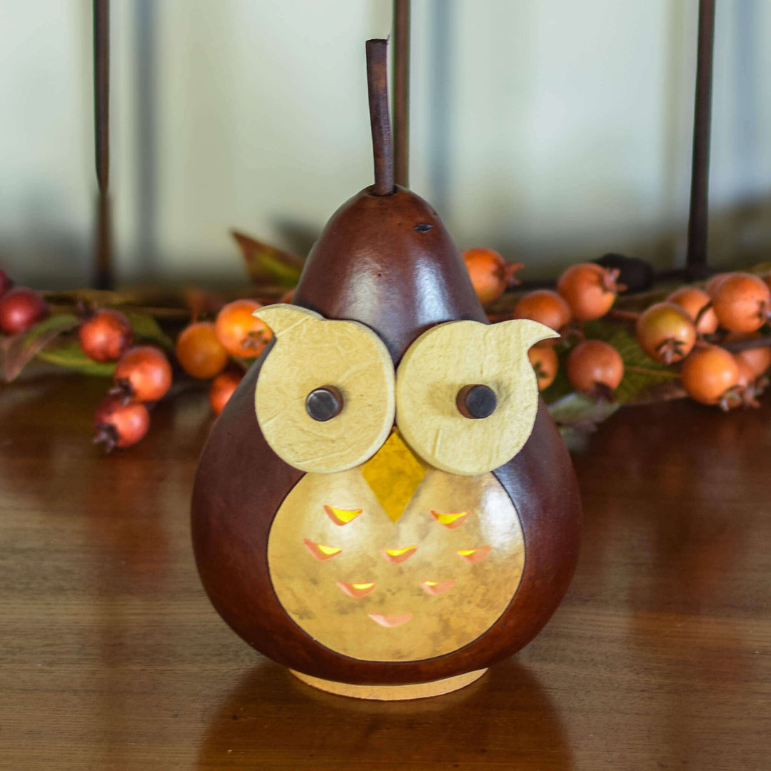 Professor Owl Gourd at Meadowbrooke Gourds. 