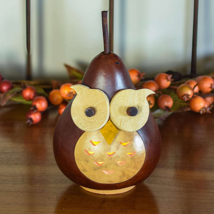 Professor Owl Gourd at Meadowbrooke Gourds. 
