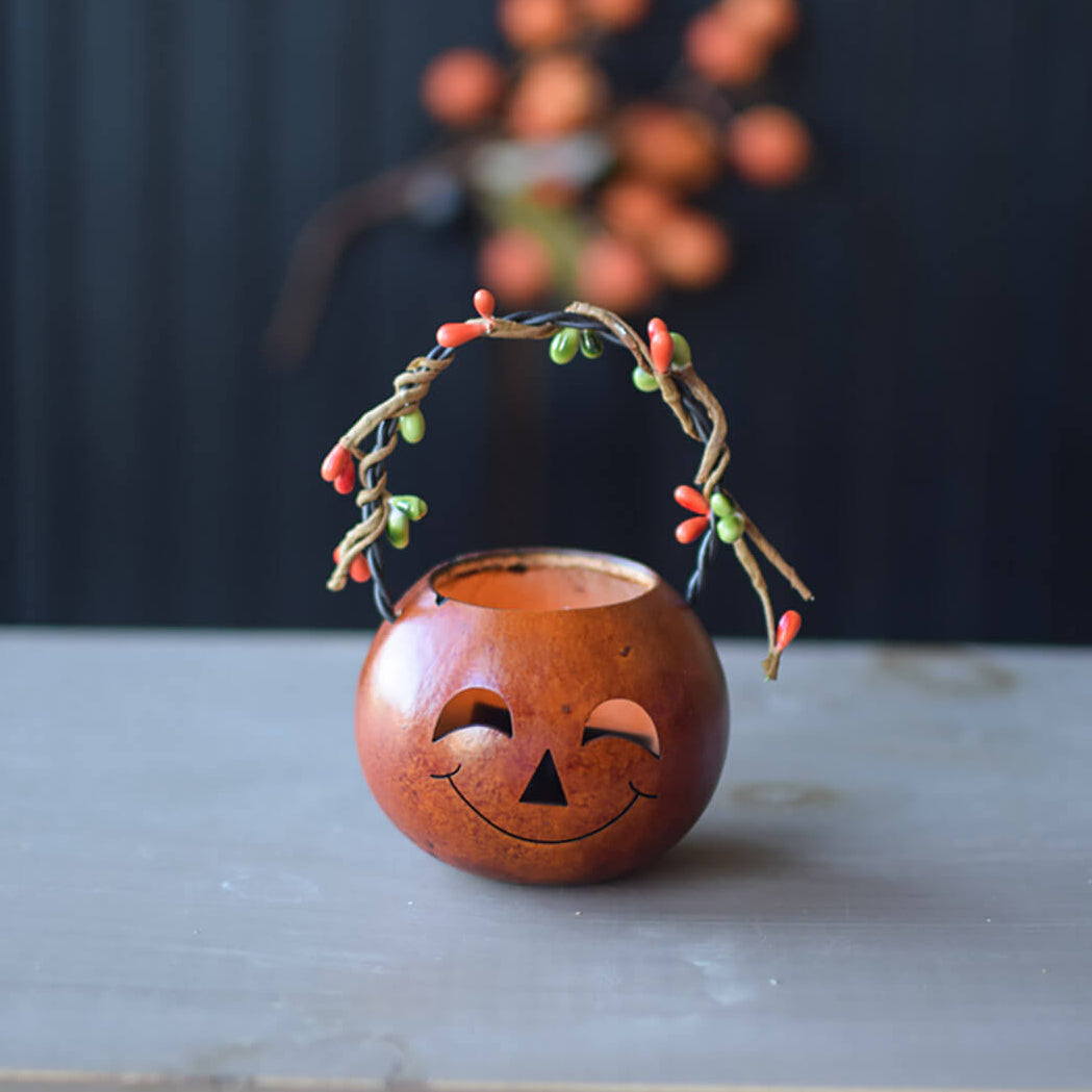 Orange Jace the Jack-o-lantern basket gourd at Meadowbrooke Gourds.