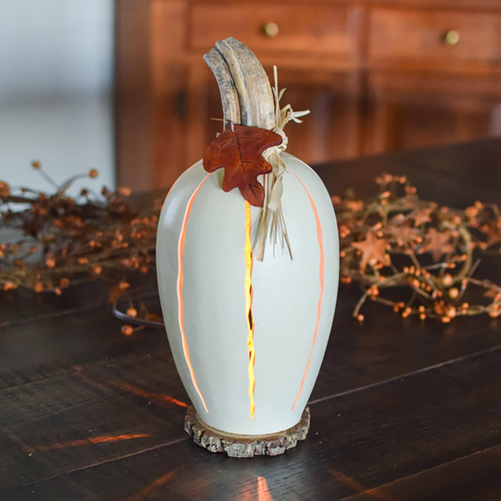 Small white luminary gourd at Meadowbrooke Gourds