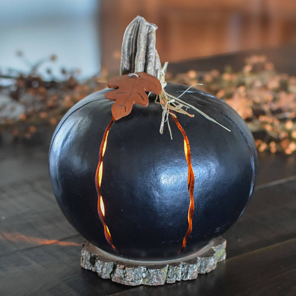 Black luminary gourd at Meadowbrooke Gourds