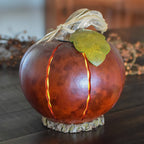 Orange luminary gourd at Meadowbrooke Gourds