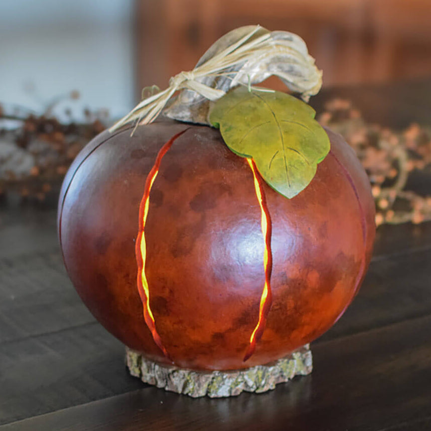 Orange luminary gourd at Meadowbrooke Gourds