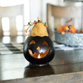 Quinn Miniature Jack-O-Lantern at Meadowbrooke Gourds. 