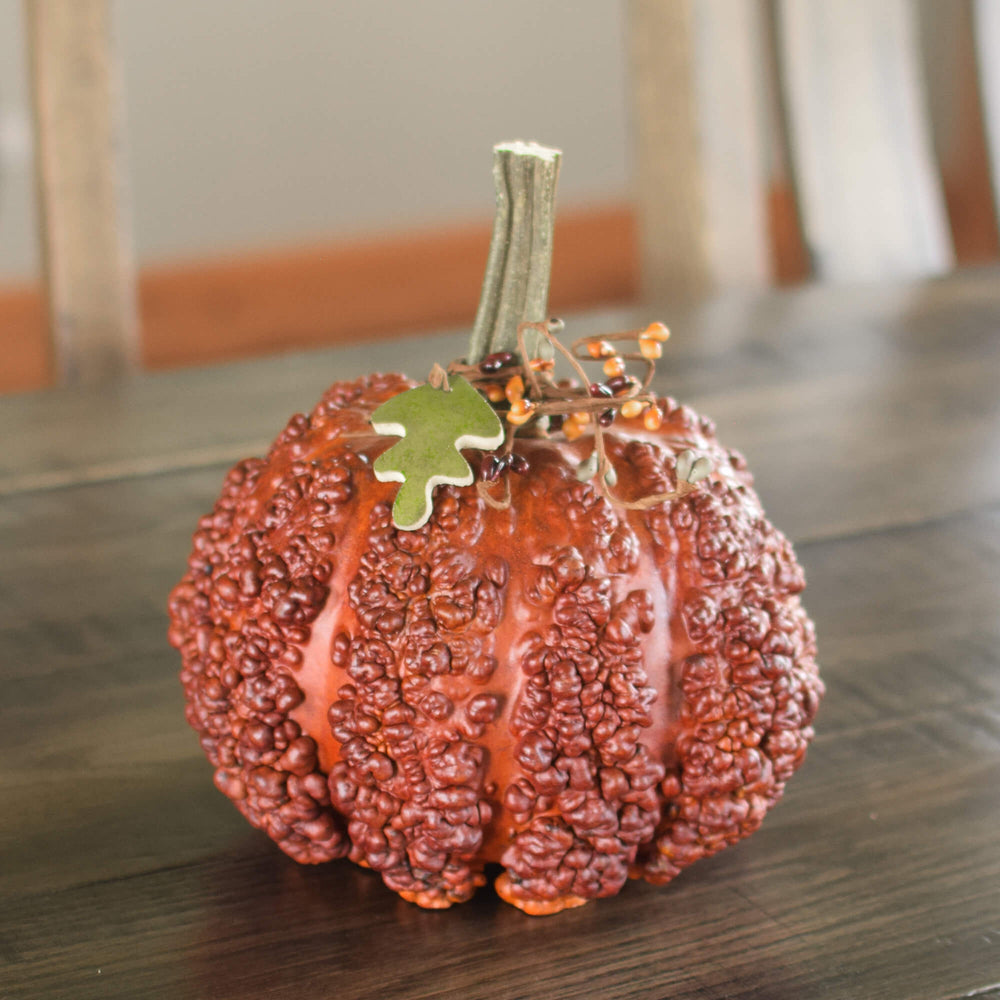 Burnt Orange Textured Pumpkin Gourd at Meadowbrooke Gourds. 