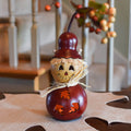 Mahogany Warehime scarecrow gourd at Meadowbrooke Gourds